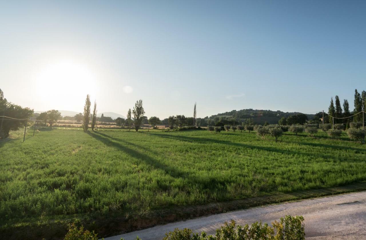 Bed & Breakfast Al Pian D'Assisi Exterior foto