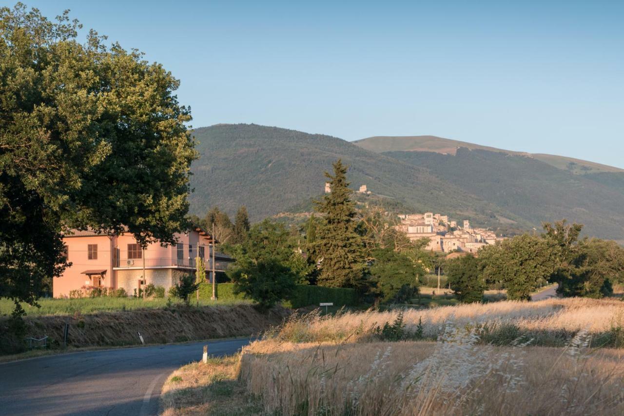 Bed & Breakfast Al Pian D'Assisi Exterior foto