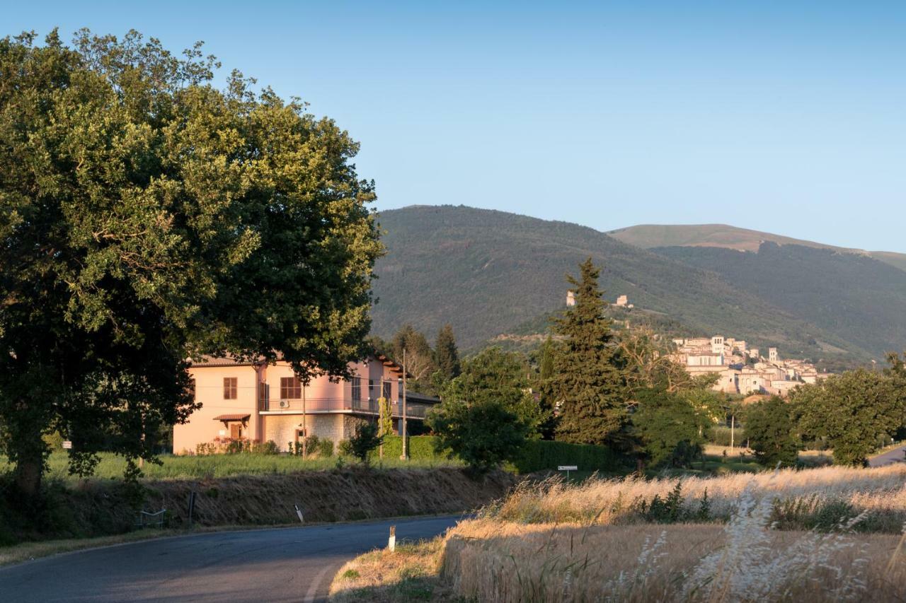 Bed & Breakfast Al Pian D'Assisi Exterior foto